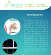 循環(huán)腫瘤細(xì)胞（CTC）檢測